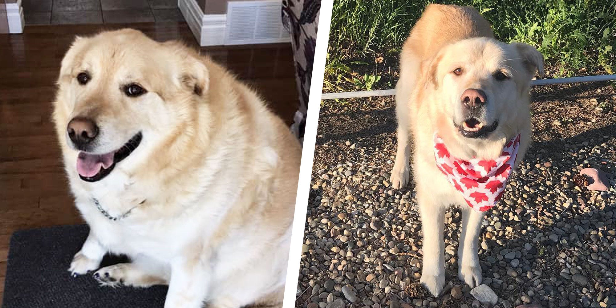 Transformação de Max