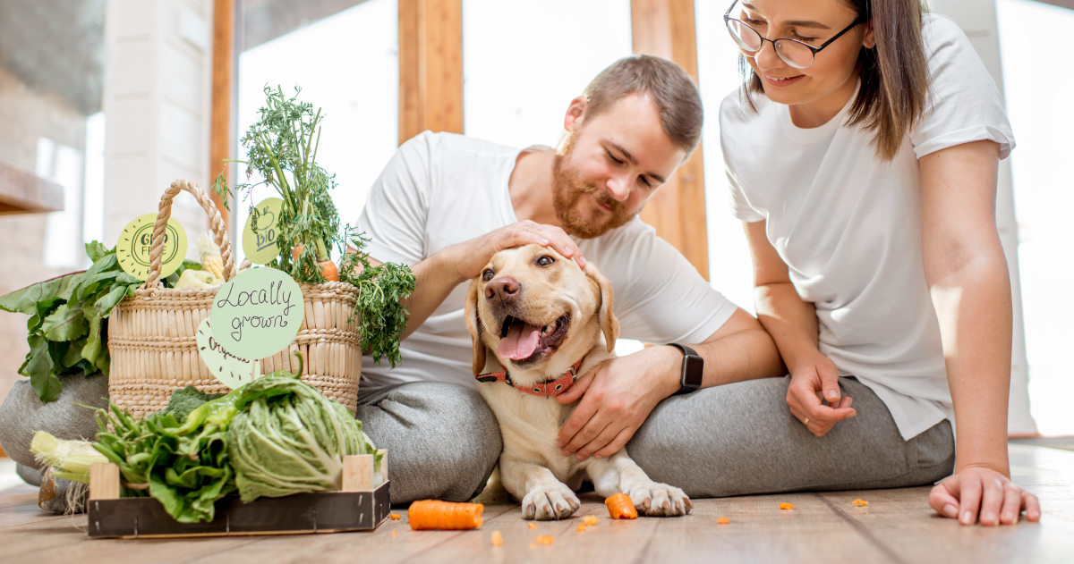 Família com cachorro